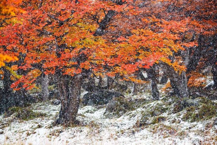 guney amerika gezilecek yerler, patagonya, patagonya fotografları, patagonya gezilecek yerler