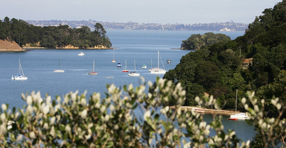 Waiheke Adası / Yeni Zelanda