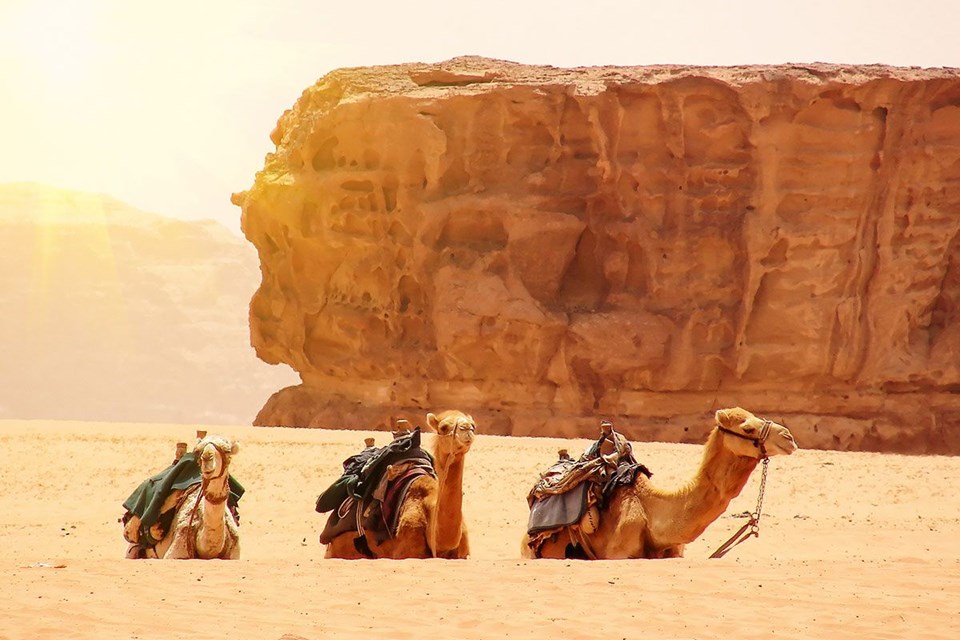 çol, çol manzarası, çolde konaklama, farklı seyahat deneyimleri, Gez, Glamping, Manzara, mars, Seyahat, The Martian, Ürdun, Ürdun seyahati, Wadi Rum, wadi rum çolu