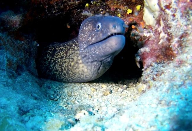 "ÇALIŞMALAR GÜZEL SİNYALLER VERİYOR"