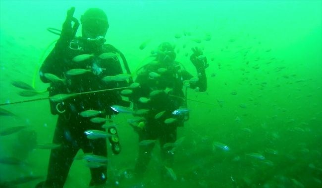 "DENİZİN HEM ÜSTÜ HEM DE ALTIYLA İLGİLENİYORUZ"