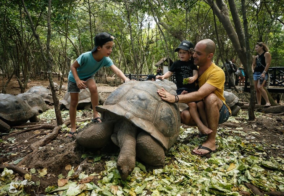 tanzanya, changuu adası, tanzanya gezilecek yerler, dev kaplumbağalar, kaplumbağa adası