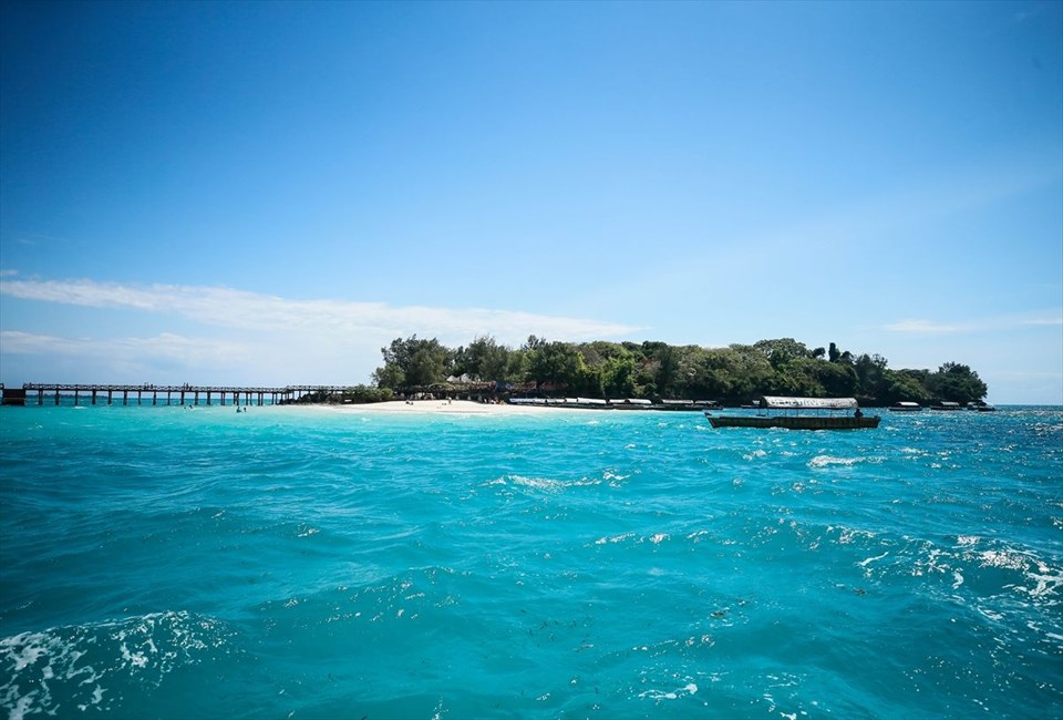 tanzanya, changuu adası, tanzanya gezilecek yerler, dev kaplumbağalar, kaplumbağa adası