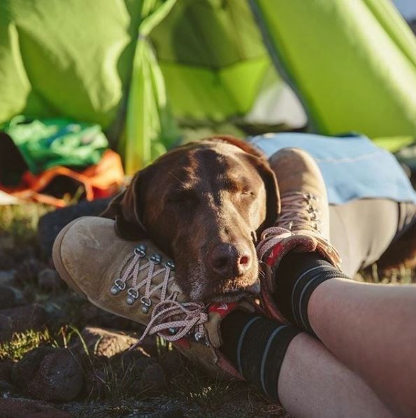 kopeklerle kamp, kopekle kampa gitmek, evcil hayvanlarla kamp, campingwithdogs