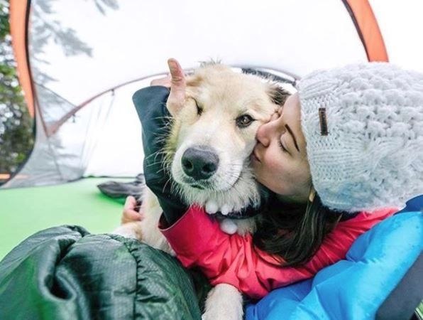 kopeklerle kamp, kopekle kampa gitmek, evcil hayvanlarla kamp, campingwithdogs