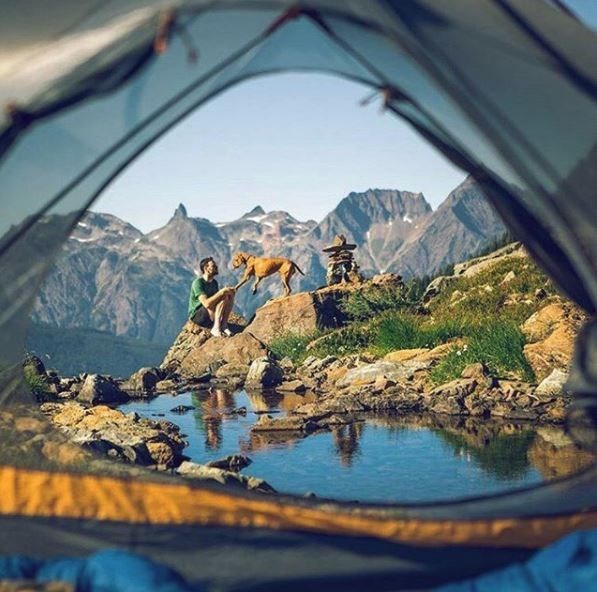 kopeklerle kamp, kopekle kampa gitmek, evcil hayvanlarla kamp, campingwithdogs