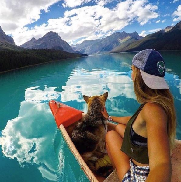 kopeklerle kamp, kopekle kampa gitmek, evcil hayvanlarla kamp, campingwithdogs
