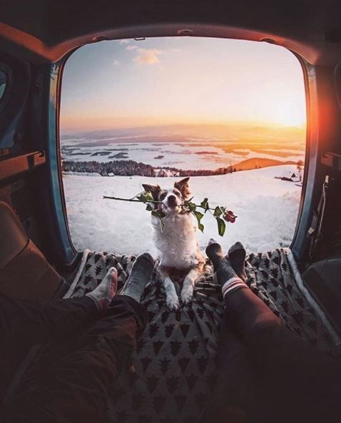 kopeklerle kamp, kopekle kampa gitmek, evcil hayvanlarla kamp, campingwithdogs