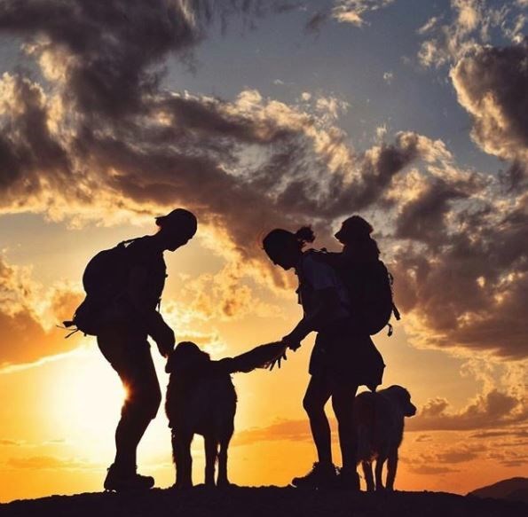 kopeklerle kamp, kopekle kampa gitmek, evcil hayvanlarla kamp, campingwithdogs