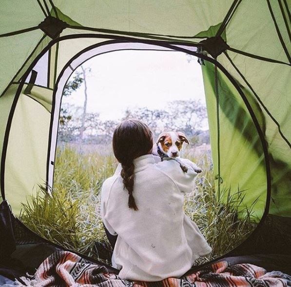 kopeklerle kamp, kopekle kampa gitmek, evcil hayvanlarla kamp, campingwithdogs