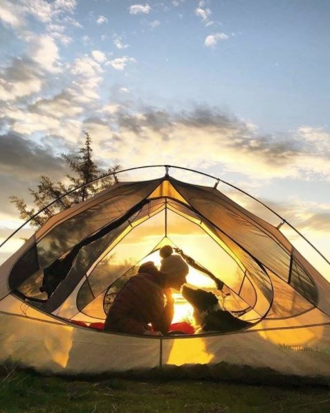 kopeklerle kamp, kopekle kampa gitmek, evcil hayvanlarla kamp