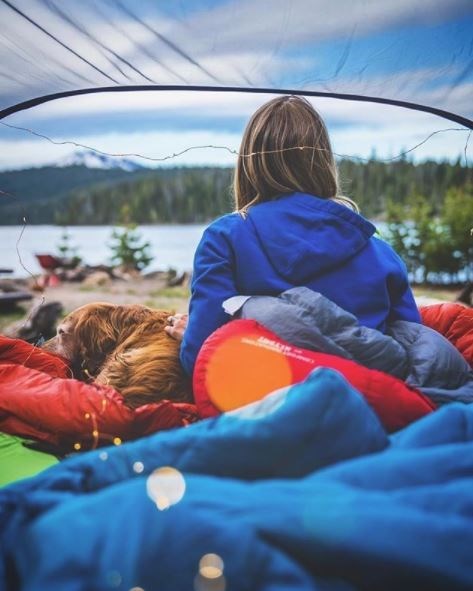 kopeklerle kamp, kopekle kampa gitmek, evcil hayvanlarla kamp, campingwithdogs