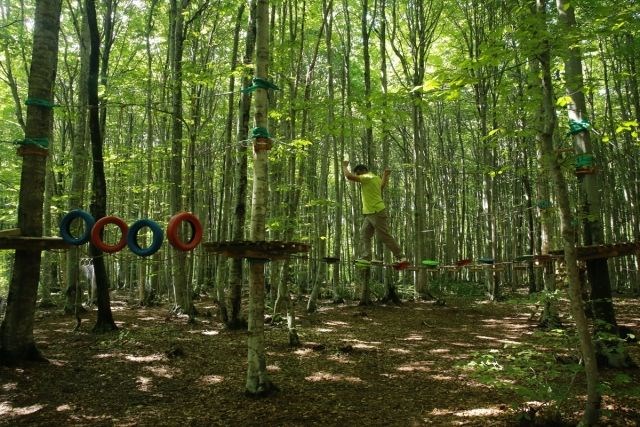 eriklitepe tabiat parkı, kocaeli tabiat parkları, kocaeli milli parkları, eriklitepe bungalovları