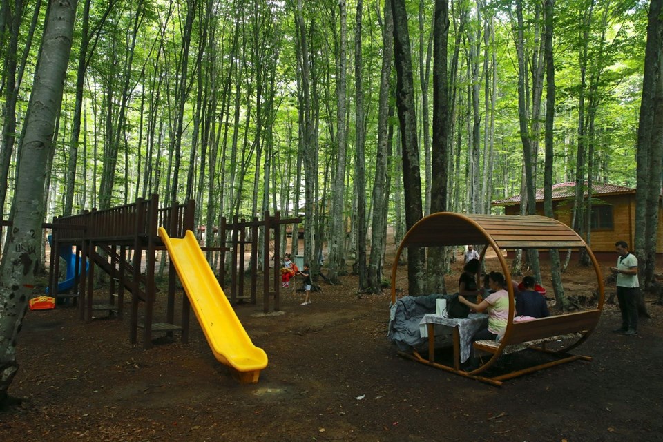 eriklitepe tabiat parkı, kocaeli tabiat parkları, kocaeli milli parkları, eriklitepe bungalovları