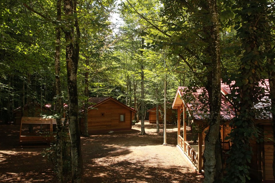 eriklitepe tabiat parkı, kocaeli tabiat parkları, kocaeli milli parkları, eriklitepe bungalovları