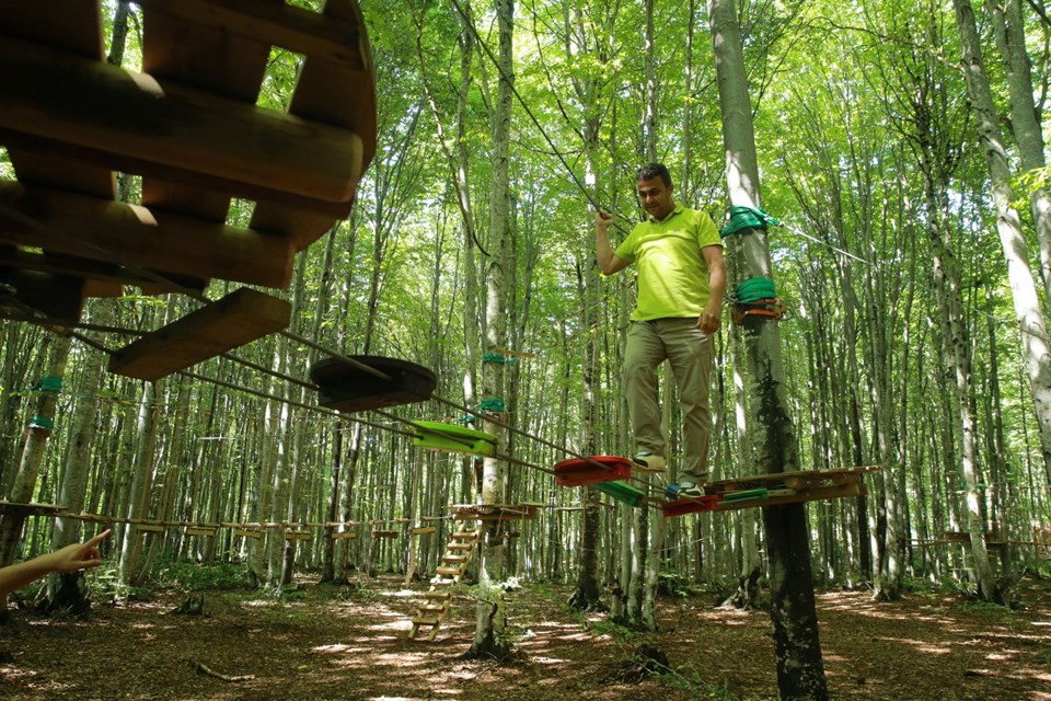 eriklitepe tabiat parkı, kocaeli tabiat parkları, kocaeli milli parkları, eriklitepe bungalovları