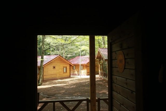 eriklitepe tabiat parkı, kocaeli tabiat parkları, kocaeli milli parkları, eriklitepe bungalovları