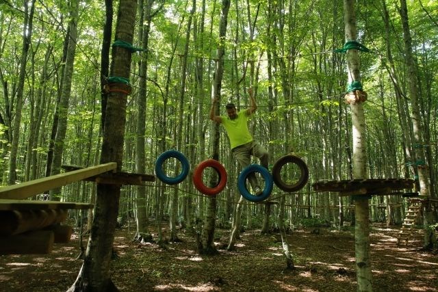 eriklitepe tabiat parkı, kocaeli tabiat parkları, kocaeli milli parkları, eriklitepe bungalovları