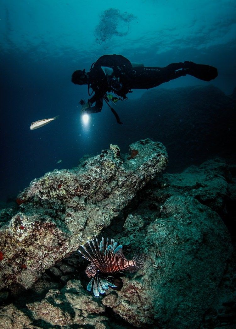 samandağ sahilleri, samandağ sualtı turizmi, samandağ dalış, samandağ sualtı, samandağ scuba, hatay sualtı, kızıldeniz