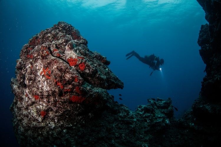 samandağ sahilleri, samandağ sualtı turizmi, samandağ dalış, samandağ sualtı, samandağ scuba, hatay sualtı, kızıldeniz