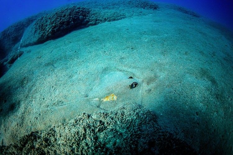 samandağ sahilleri, samandağ sualtı turizmi, samandağ dalış, samandağ sualtı, samandağ scuba, hatay sualtı, kızıldeniz