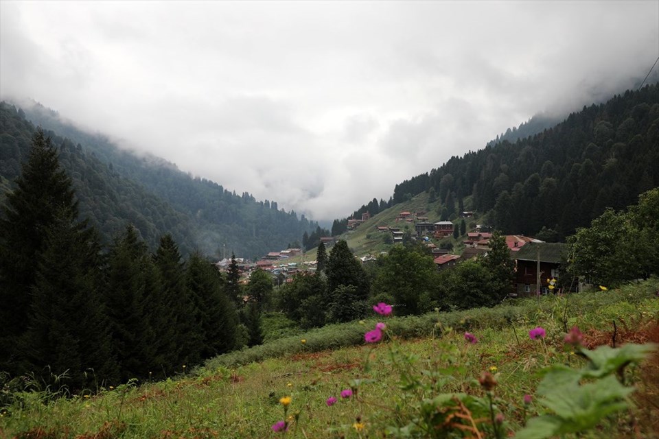 ayder yaylası, rize gezilecek yerler, ayder zipline, çamlıhemşın, ayder yaylası nerede