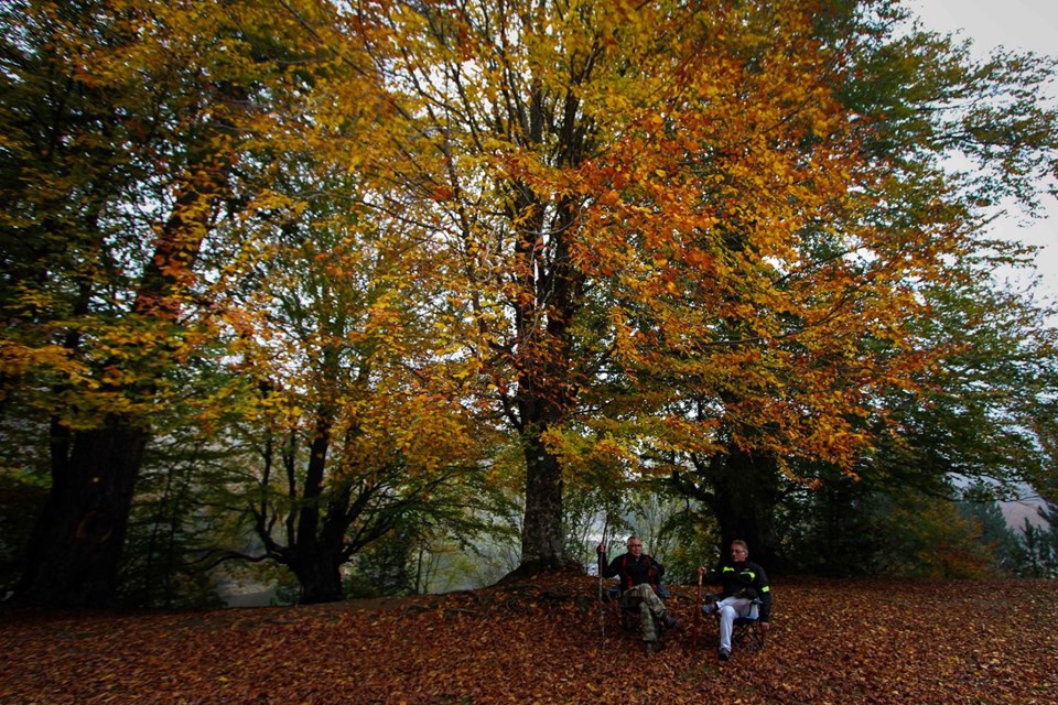 domaniç daÄları, domaniç sonbahar, domaniç fotoÄrafları, domaniç güz