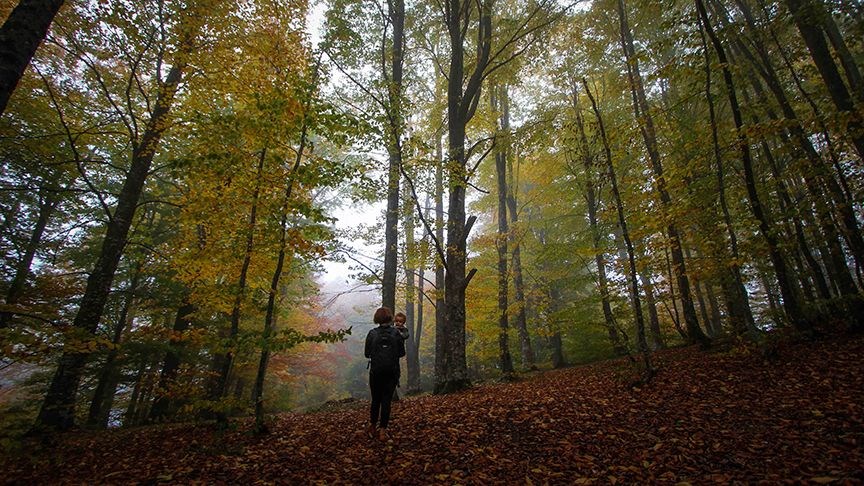 domaniÃ§ daÄŸlarÄ±, domaniÃ§ sonbahar, domaniÃ§ fotoÄŸraflarÄ±, domaniÃ§ gÃ¼z