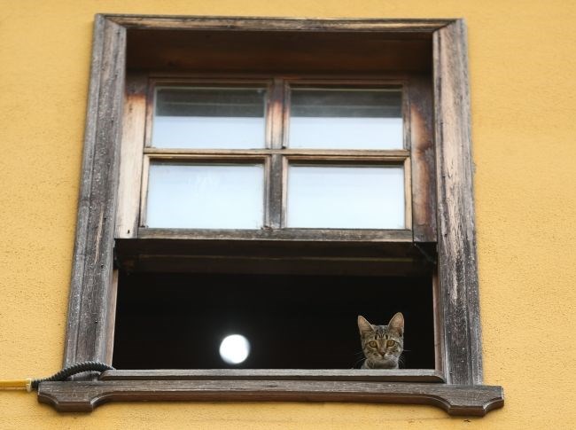 ırgandi köprüsü, bursa gezilecek yerler, dünyanın en eski çarşılı köprüleri, çarşılı ırgandi köprüsü