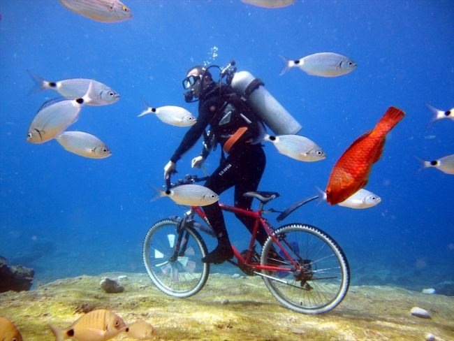muğla, fethiye, fethiye su altı, fethiye dalış okulu, su altı fotoğrafları