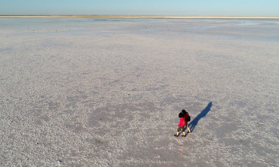 tuz gölü, flamingo, tuz gölü nasıl oluştu, tuz gölü nerede, flamingo kuluçka yerleri, flamingolar nerede