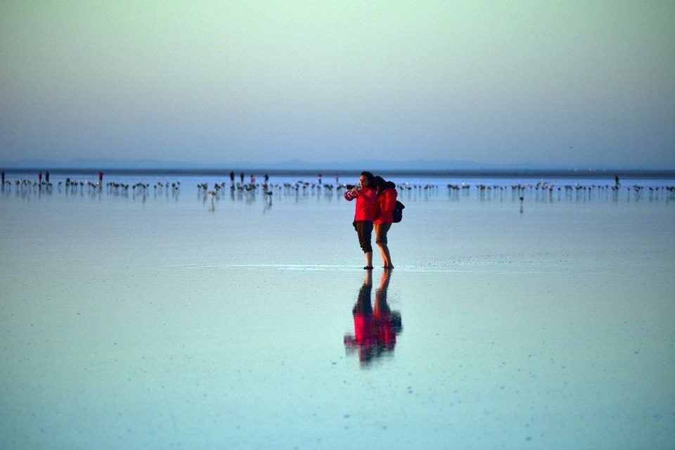 tuz gölü, flamingo, tuz gölü nasıl oluştu, tuz gölü nerede, flamingo kuluçka yerleri, flamingolar nerede