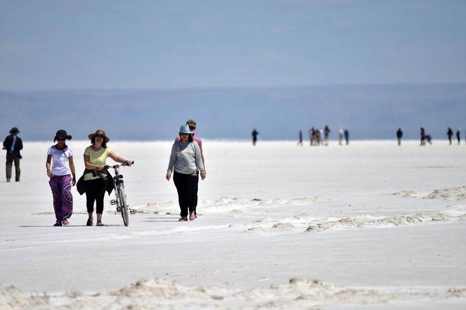 tuz gölü, flamingo, tuz gölü nasıl oluştu, tuz gölü nerede, flamingo kuluçka yerleri, flamingolar nerede