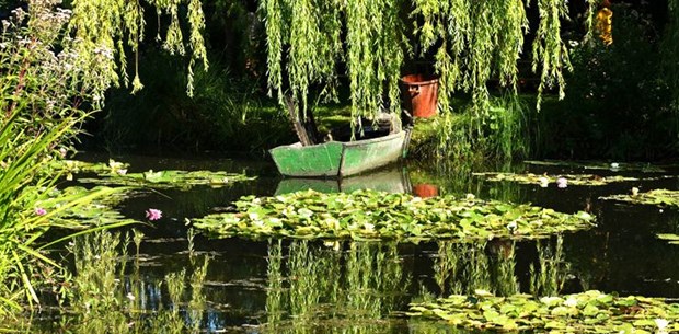 Fransız ressam Claude Monet'nin ilham bahçesine turist akını Fransız ressam Claude Monet'nin ilham bahçesine turist akını