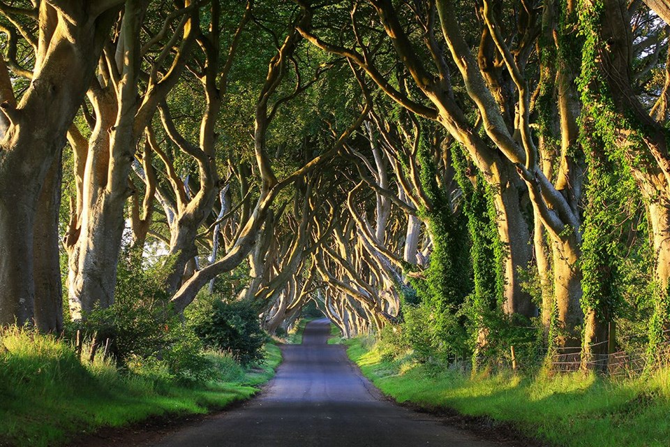 game of thrones, game of thrones çekildiği yerler, game of thrones turları, game of thrones mekanları, game of thrones turizm