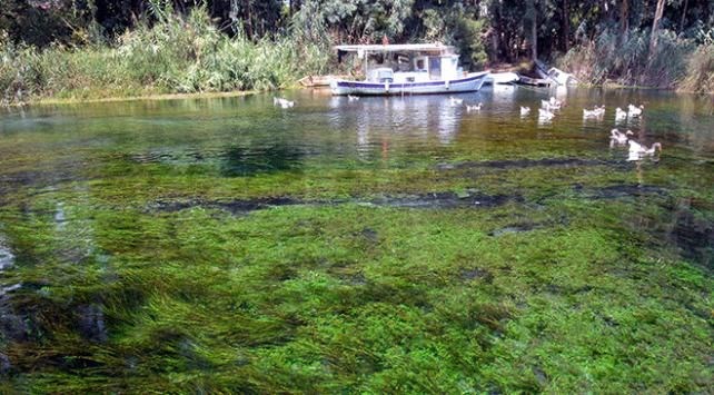 Muğla, Kiteboard, Kadın Azmağı Deresi, huzur, Akyaka, adrenalin, seyahat