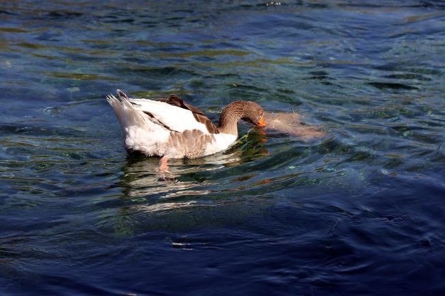 Muğla, Kiteboard, Kadın Azmağı Deresi, huzur, Akyaka, adrenalin, seyahat