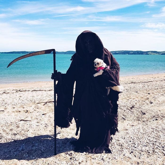 ölüm meleği azrail, the swim reaper, instagram fenomenleri