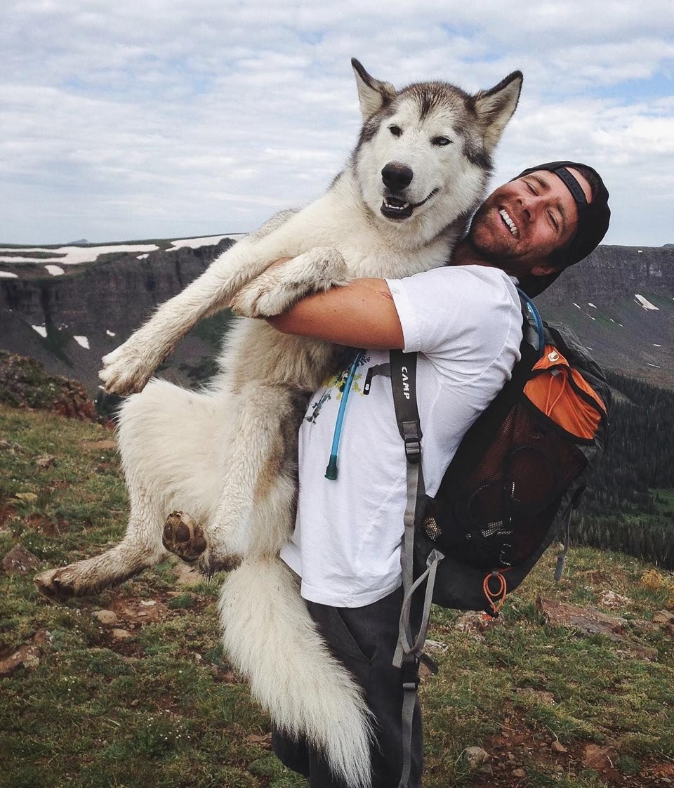 loki the wolfdog, dunyayı gezen kopekler, instagram fenomeni kopekler, gezgin kopekler, kampçı kopekler