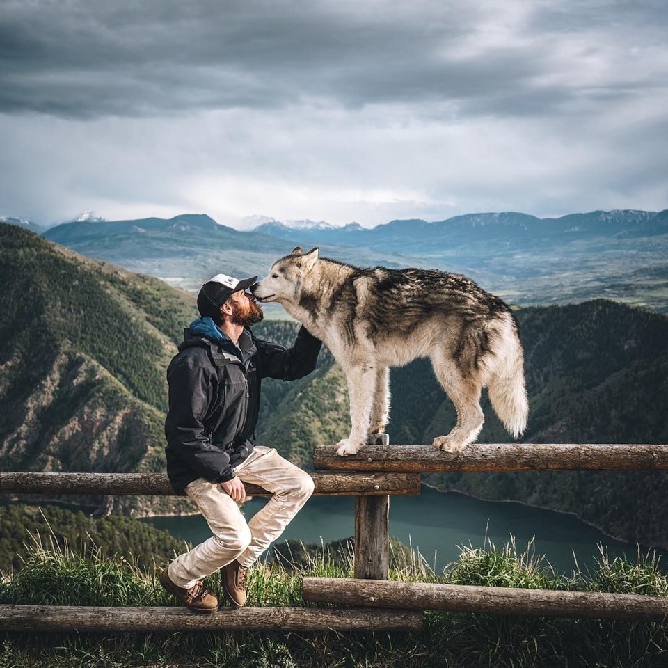 loki the wolfdog, dunyayı gezen kopekler, instagram fenomeni kopekler, gezgin kopekler, kampçı kopekler