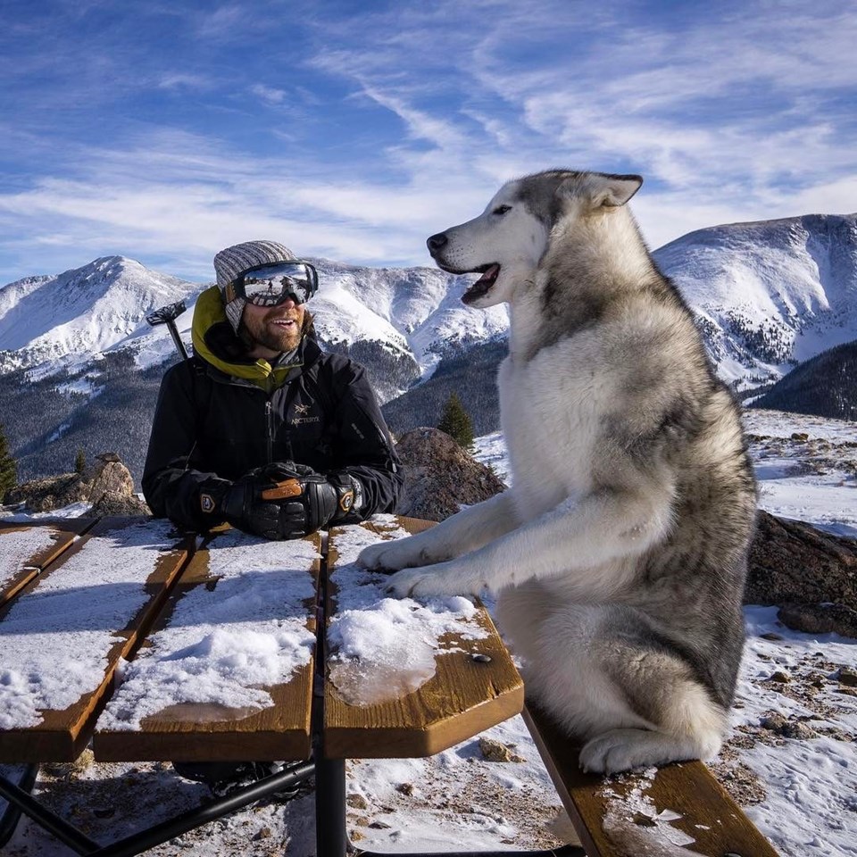 loki the wolfdog, dunyayı gezen kopekler, instagram fenomeni kopekler, gezgin kopekler, kampçı kopekler