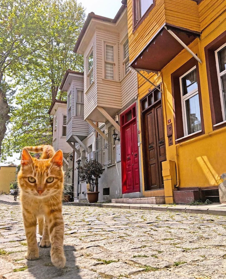 İSTANBUL INSTAGRAM'DAN DÜNYAYA TANITILIYOR (ONE İSTANBUL) 13 Manşet Son Dakika Havacılık Haberleri | Türk Hava Yolları, Pegasus, Sunexpress, Corendon, Havacılık, Havayolları, Havalimanları, Havaalanları, THY, Hostes, Pilot, Uçak, Kabin memuru, SHGM, DHMİ ,9jQWET6s3kOeJc68VEw8NQ