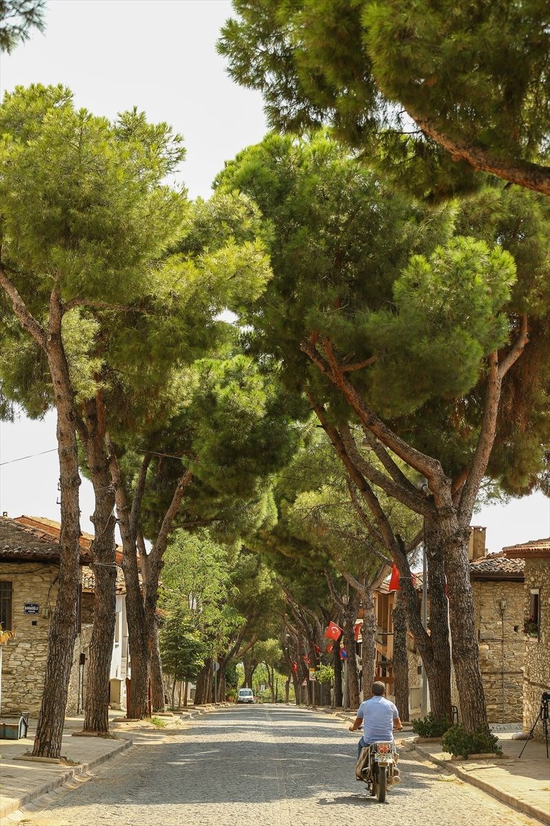 izmir, birgi mahallesi, birgi koyu, izmir gezilecek yerler, sanat