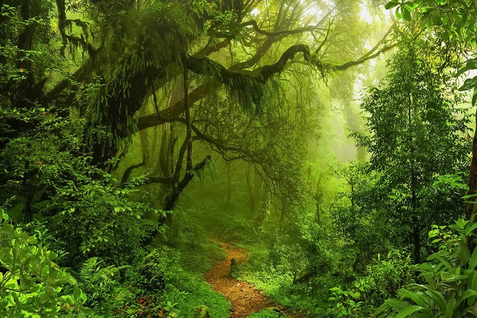 alternatif tatil, alternatif tatil önerileri, alternatif turizm, doğa tatili, doğa tatili rotaları, get lost, kişiye özel tatil, macera tatili, macera tatilleri, vahşi doğada tatil