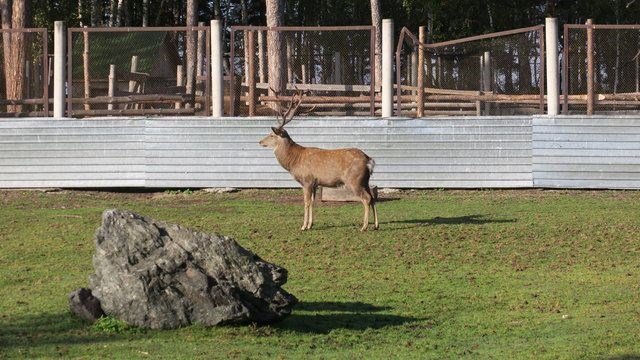 burabay, kazakistan, burabay ulusal parkı, kazakistan gezilecek yerler