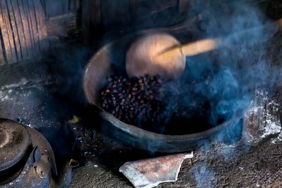 Kopi Luwak kahvesi, misk kedisi, kedi dışkısı kahve, dünyanın en pahalı kahvesi, kopi luwak kahvesi nasıl üretiliyor