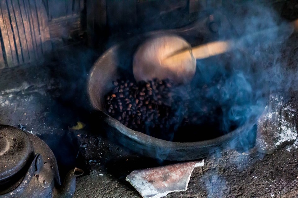 Dünyanın en pahalı kahvesi, kedi dışkısından üretiliyor
