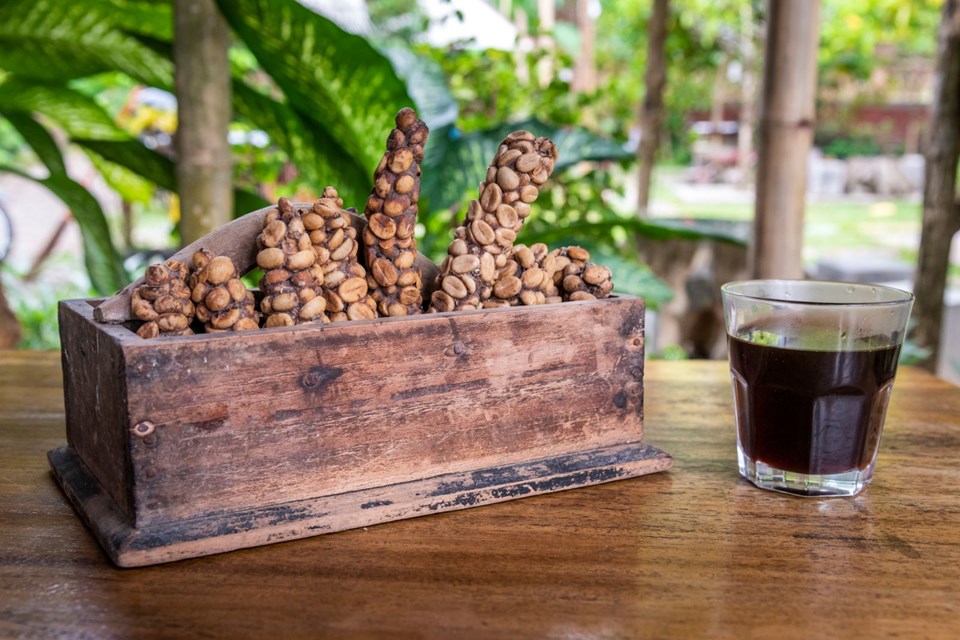 Kedi dışkısından üretilen dünyanın en pahalı kahvesi Kopi Luwak (Kilosu
