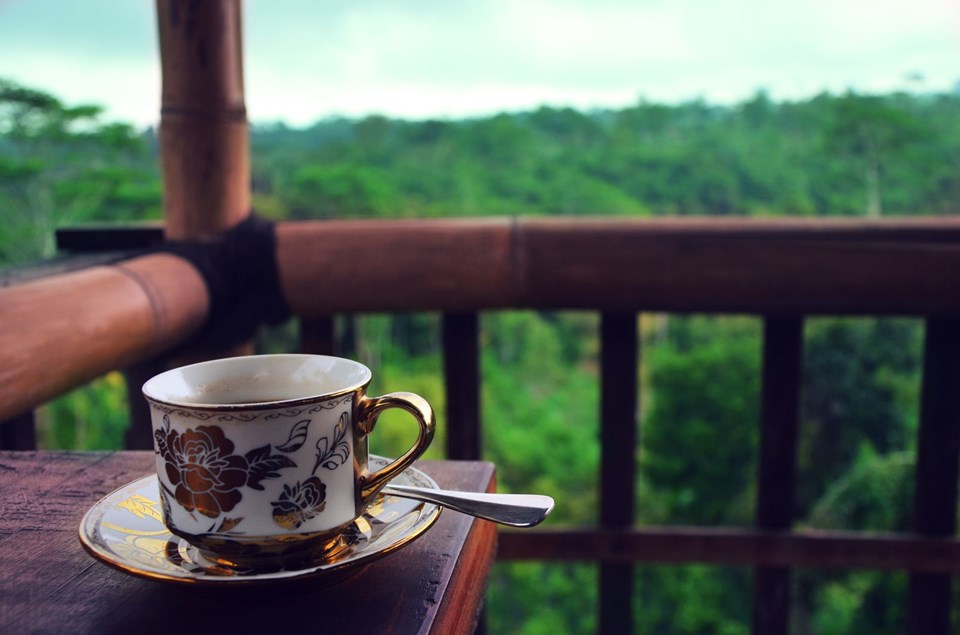 Kedi dışkısından üretilen dünyanın en pahalı kahvesi Kopi Luwak (Kilosu