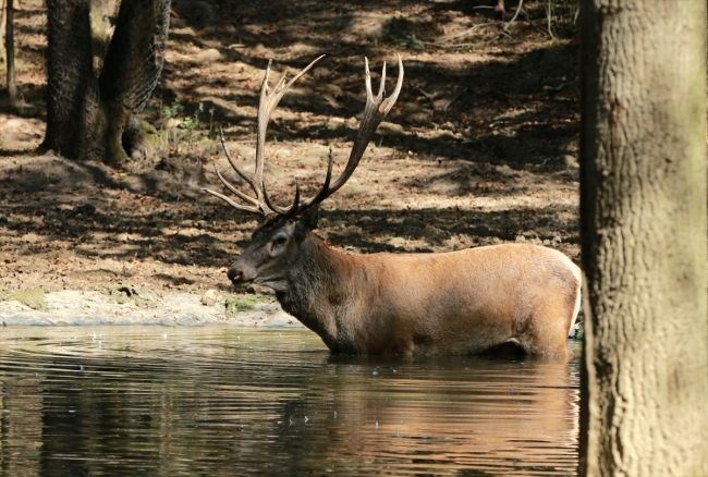 "ŞEHRİN DOĞAYLA BÜTÜNLEŞMESİNİ HEDEFLİYORUZ"